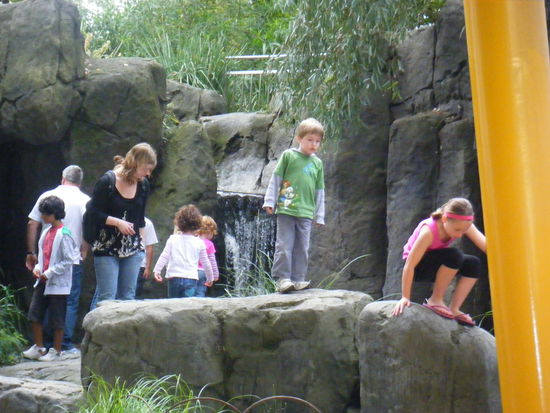 kinder gehen auf entdeckungstour...