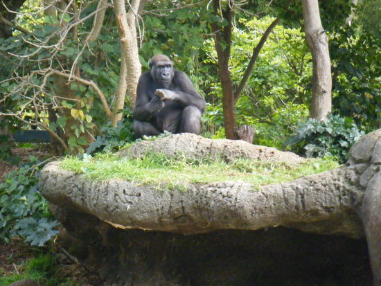 der anfang eines schönen tages, wer wird schließlich bei diesem blick nicht schwach^^