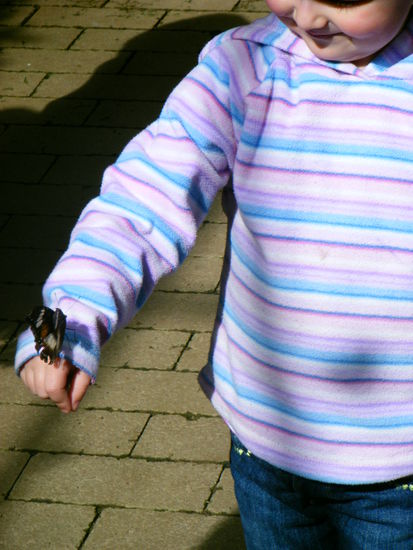 leider hat meine kamera dann den geist aufgegeben aber sie war noch übersät mit ganz vielen schmetterlingen...mensch hat sie sich gefreut...