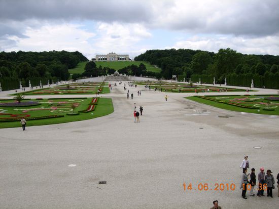 Blick von der Schlossterasse zur Gloriette. Davor die wunderbar bepflanzten Flächen