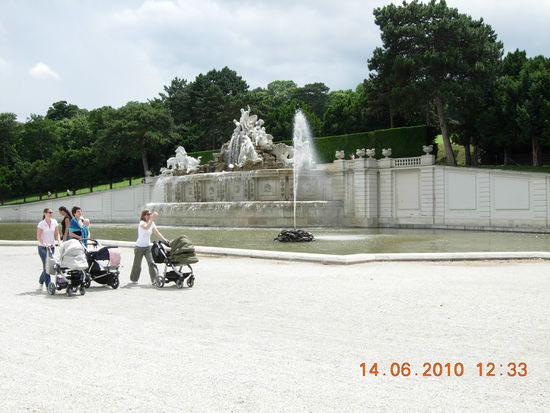 Der Neptun Brunnen zu hinterst im Park, bevor es zur Gloriette hochgeht