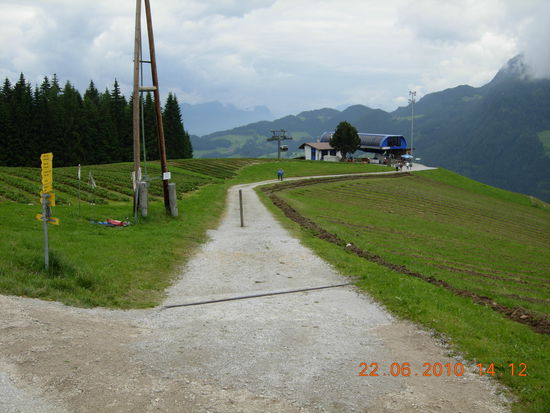 Erdbeerplantage auf 1200 Meter Höhe auf dem Reiterkogel