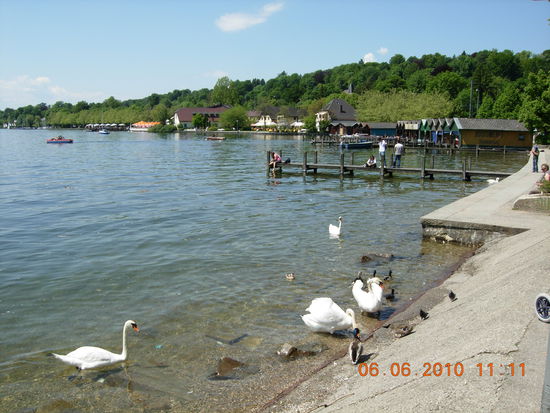 Stimmung am Starnberger See
