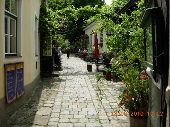 Ein typischer Garten in einem Grinzing Lokal beim Heurigen