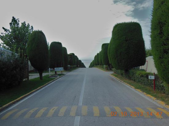 Hauptstrasse und Anfahrt im Camping Lido Pacengo