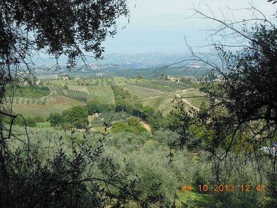 Durch typische toskanische Landschaft