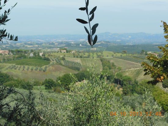 Durch typische toskanische Landschaft