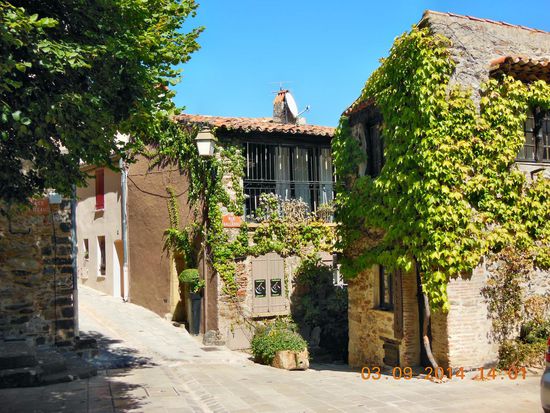 Bewachsene Häuserfronten in Grimaud