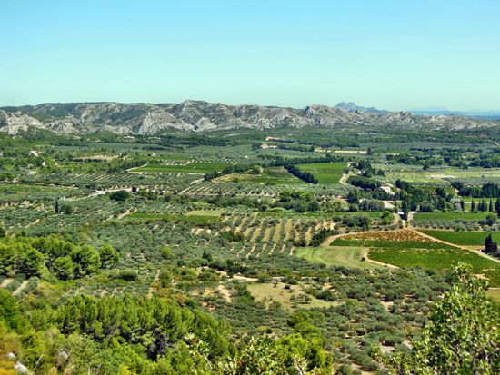 Aussicht von der Schlossruine