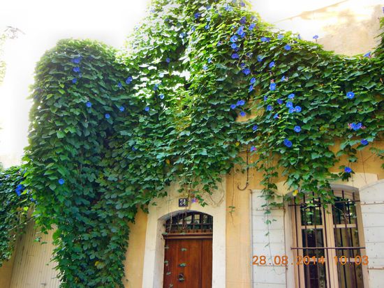 Häuserschmuck in Arles