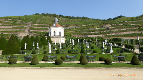Weingut Schloss Wackerbarth