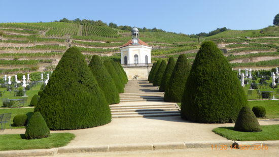 Weingut Schloss Wackerbarth
