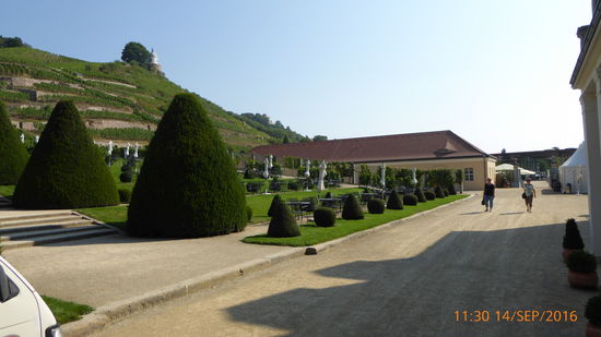 Weingut Schloss Wackerbarth