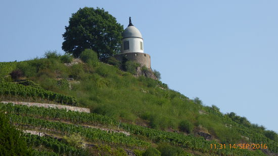 Weingut Schloss Wackerbarth