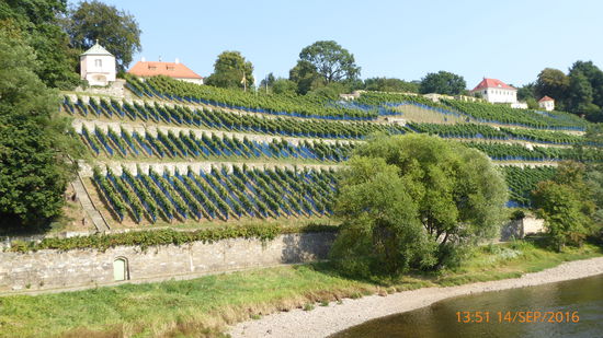 Ausblick vom Schiff aus