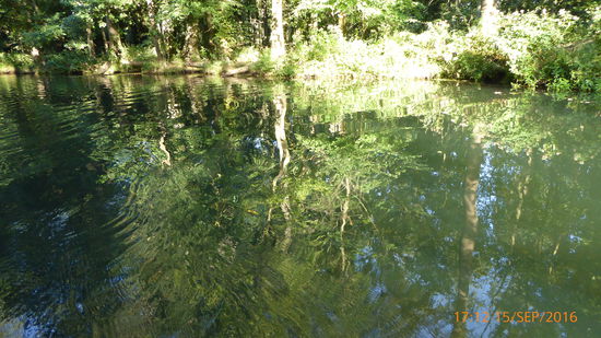 Lichtstimmung auf der Kanalfahrt