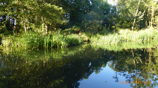 Lichtstimmung auf der Kanalfahrt
