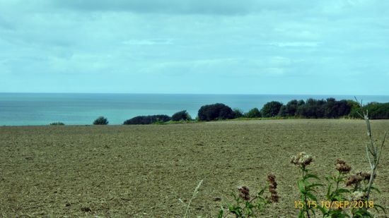 Aussicht der deutsche Bunker mit Kanonen in Longues sur Mer