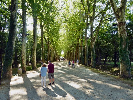 Allee vom Eingang zum Schloss Chenonceaux