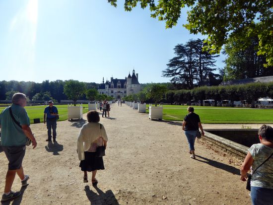 Sicht nach der Allee auf das Schloss Chenonceaux