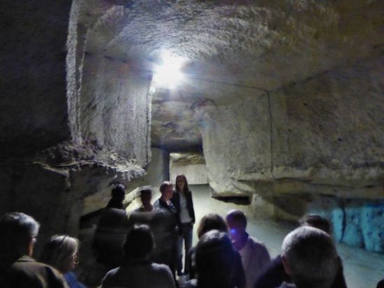 Champignon Felsenkeller