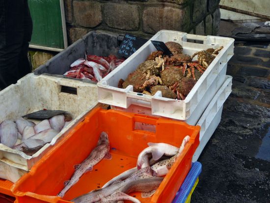 Saint Valery en Caux