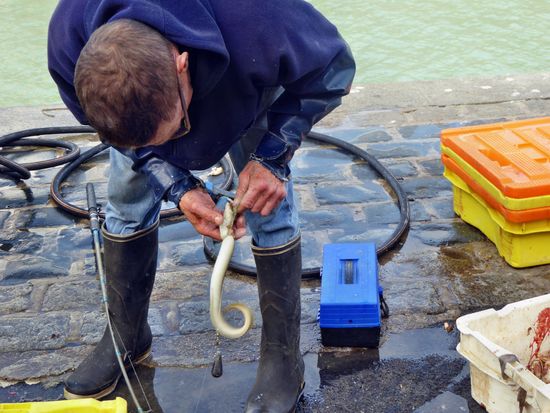 Saint Valery en Caux