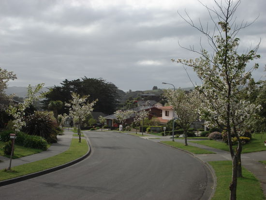 es gruent und blueht und riecht ueberall nach fruehling..