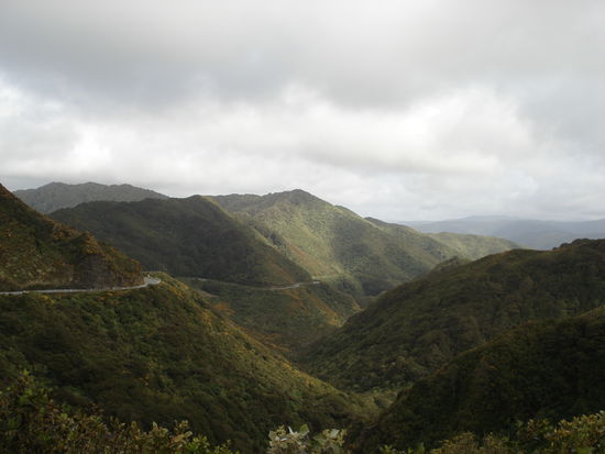 blick ueber die berge zwischen greytown und wellington