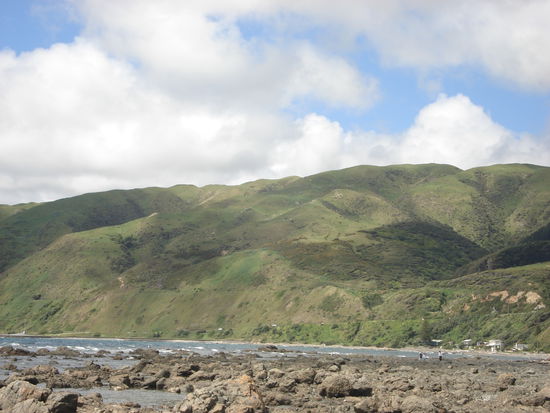 rockpools mit gruenen backround