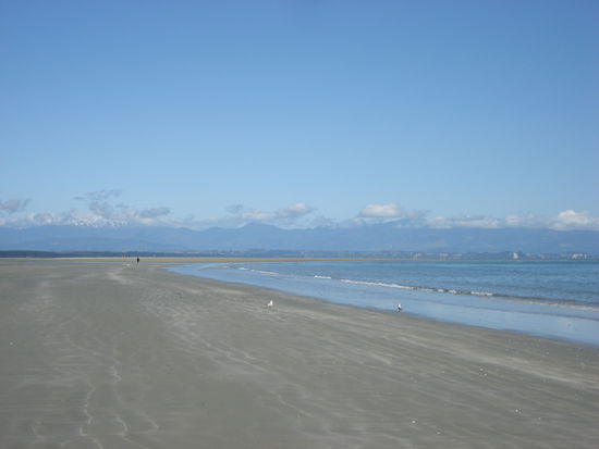 the beach, nelson