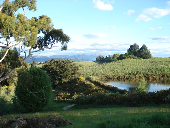 blick aus dem garten in die unendlichen weiten neuseelands!