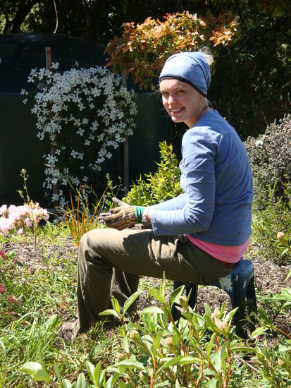 bezipfelte KT im entkrauteten Beet