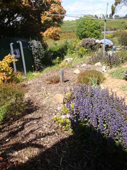 das zu jaehtende areal, KT in action!