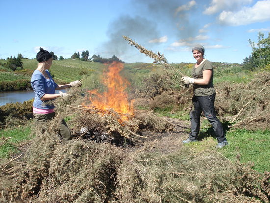 juhu, wir duerfen zuendeln und fackeln!
