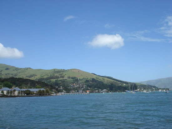 angekommen in akaroa, es ist sooooo schoen hier!