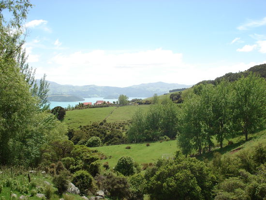 aussicht von dem wanderweg auf die bucht von akaroa.. grandios!!