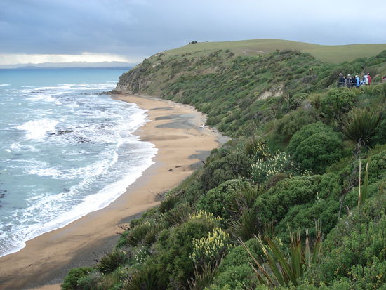 die pinguin kueste. rechts ein paar lustige schauer! 