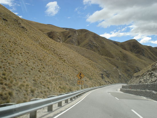 flachs bewachsene huegel - die ganze gegend sieht aus wie eine riiiieeesige kiwi! 