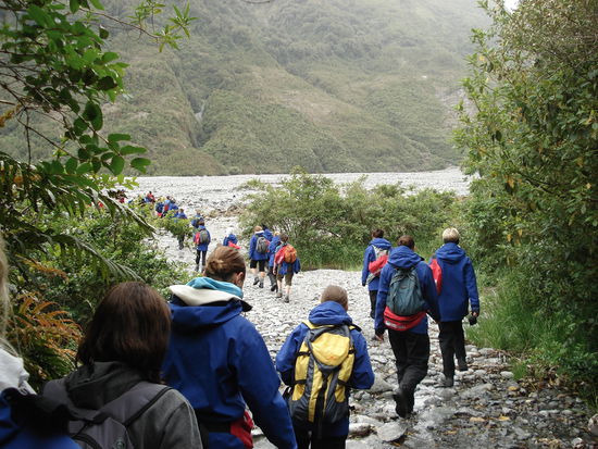 die gruppe durchquert 5 minten lang einen regenwaldartrigen urwald und - zack