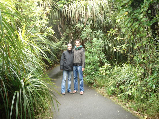 auf dem weg zurueck durch den regenwald