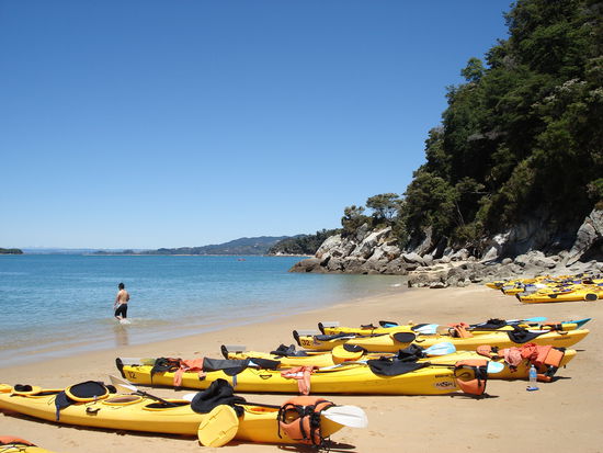 wie aus dem katalog!