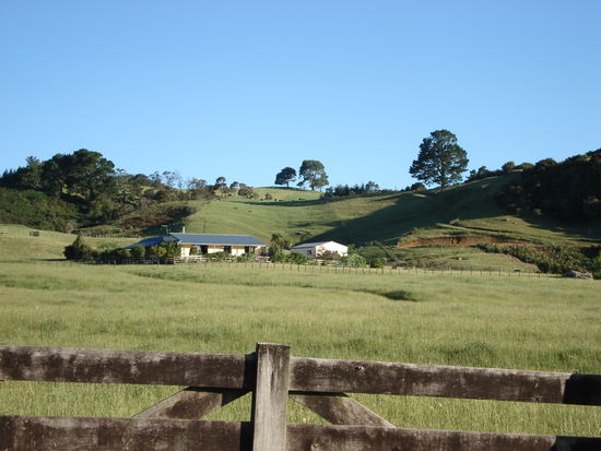 auf der rueckfahrt zum hostel