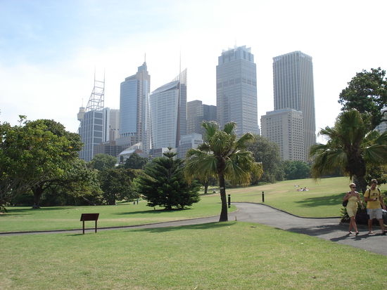 ein unfassbarer kontrast: idyllischer garten und heftige hochhäuser! direkt nebeneinander