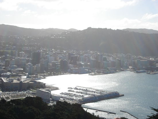 Wellington city mit dem nationalmuseum vorne links (das grosse braune)