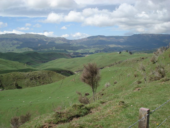 und dann nix als gruen. und hinter der naechsten kurve? neue gruene huegeleien.. 