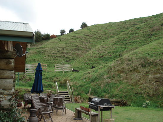 terasse mit kuhblick