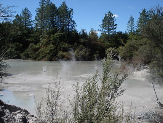 ein grosser stinkender mud-pool! lustig, es blubbert und spritzt und stinkt tagein tagaus! 