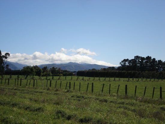 siehst du schnee- hast du augen gut!