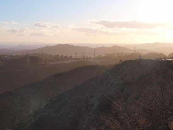 Hier hat lezten Sommer ein Waldbrand gewütet...